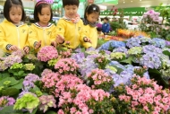 ㈜농협유통, ‘새봄맞이 봄꽃환경축제’ 30% 할인
