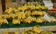 바나나 가격 ‘급등’…병충해와 엘니뇨 원인