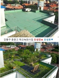 서울시,올해 96개교 그린 녹색의 힐링공간 재탄생