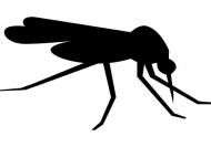 경기도, 11개 시·군 대상 말라리아 퇴치사업 현장점검 실시
