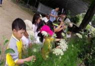 서울시 어린이집 및 유치원 단체 대상 '자연체험교실' 운영