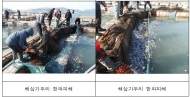 해수부,  ‘겨울철 대설·한파 재난대비 추진계획’ 수립