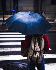 비오는 날 유용한 우산 비닐 커버, 사실은 환경 오염의 주범