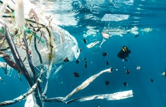 해양 플라스틱 쓰레기, 떠밀리고 쌓여 거대한 쓰레기 섬 형성…면적만 한국의 15배