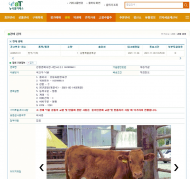 한국농수산식품유통공사, 강릉축협과 온라인 가축경매 시범 진행
