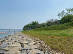 한강 나무심기 3배 늘려 생태보호… '그레이트 한강' 추진