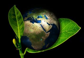 국립산림과학원, 친환경 고흡수성 소재 개발 성공 