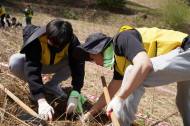 한샘, 지구의 날 맞아 밀원숲 조성 임직원 환경봉사활동