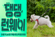 반려견과 함께하는 친환경 프로젝트 ‘댕댕런웨이 제로웨이스트 솔버톤’