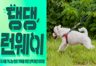 반려견과 함께하는 친환경 프로젝트 ‘댕댕런웨이 제로웨이스트 솔버톤’