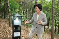 은평구, 여름철 대발생 ‘러브버그’ 친환경 방제 총력