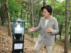 은평구, 여름철 대발생 ‘러브버그’ 친환경 방제 총력