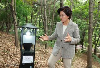 은평구, 여름철 대발생 ‘러브버그’ 친환경 방제 총력