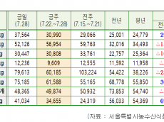 김지향시의원, 폭염에 금값된 복숭아 .수박도 전년 대비 1.5배 상승... 왜 AT센터 손놓고있나?