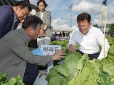 이승돈 농촌진흥청장, 남원 준고랭지 여름배추 시범사업 현장 방문
