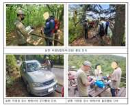 환경부, 가을 성수기 국립공원 불법·무질서 행위    집중단속