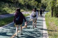 영등포구, 안양천 힐링 ... 신정교에서 5km 힐링 걷기대회 개최