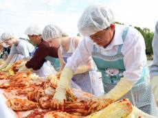 [마포구동정] 새우젓 향 따라, 마포의 손맛으로 외국인과 함께한 김장김치 담그기