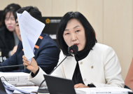 이영실 시의원, “주도권 없는 협약에 서울시 예산 투입”… 연천 테마파크 사업 구조 논란