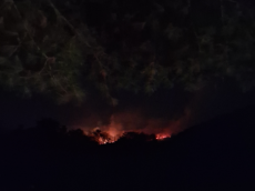 경기 연천 산불 진화 완료...진화자원 신속히 투입하여 산불발생 3시간 만에 진화 완료