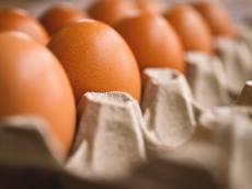 난각번호는 4인데 포장지엔 1등급? 헷갈리는 달걀 표시에 소비자 혼란 가중