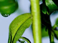 환경을 생각한 소비 가격은 왜 더 비쌀까? 달라질 수 있을까