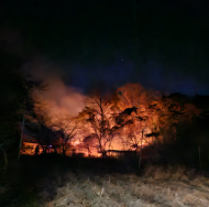 전남 광양 산불 진화 완료