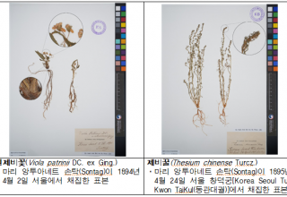 기후에너지환경부,  130년 전 식물표본, 디지털 사진으로 되살아나