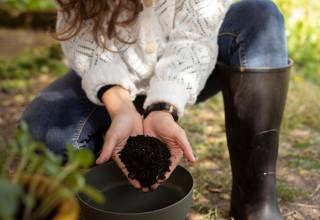 심는 것보다 지키는 것이 먼저! ‘나무’의 가치 