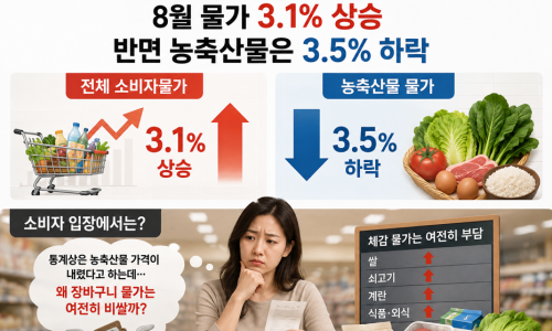 “농축산물 3.5% 하락이라는 통계는 맞지만, 그것이 곧 체감물가 하락을 의미하는 것은 아니다