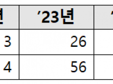 외국인 임대인 전세사고 178억…HUG 대신 갚은 돈 67억 못 돌려받았다