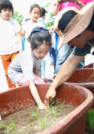영등포구, 초등학교 친환경 벼농사 체험