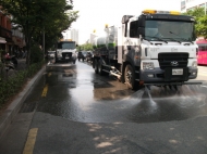 마포구, 여름철 환경 피해 대비 총력