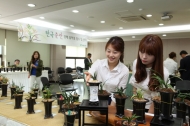 한국춘란 경매 1년, 경매&#8228;교육&#8228;전시회 등 대중화에 기여