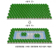 산림청 국립산림과학원, 한국형 친환경 벌채 기술 개발