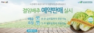 aT, “친환경 김장용 절임배추” 예약거래 행사