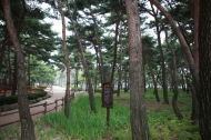 강북구 ‘북한산둘레길’ 친환경 1위
