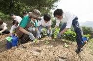 은평구, 친환경텃밭  3만원에 분양합니다