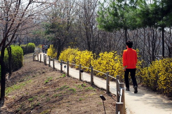 공원녹지분야 시비 120억원 투입…녹색복지동대문구로 박차