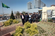 대구시, 옥상녹화사업 '2016 푸른옥상가꾸기' 본격 시행