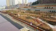 인천시, 주민 위한 백운 생태공원숲 드디어 개방