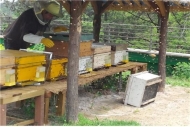 서울시 중부공원녹지사업소, ‘남산꿀벌지기 도시환경양봉 교육’ 실시