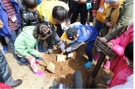 백혈병어린이재단, 소아암 완치 기원 환경나무심기 행사 개최