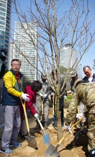 용산구, 미군8군과함께 나무심기 행사