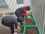 관악구, 장애인대상 ‘텃밭환경가꾸기’운영