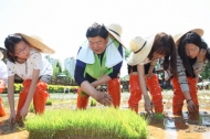 영등포구, 농부…도심 속 친환경모내기 체험
