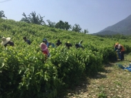 경남도 친환경농업과, 일손부족 농가 돕기 적극 실시