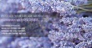 천연화장품 아로마데이, 천연원료쇼핑몰 '아로마홀릭' 런칭
