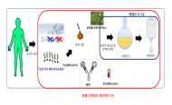 실험동물 없이 식물바이러스 항체 생산 기술 나왔다