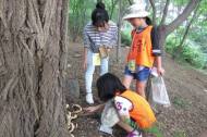 녹색교육센터-한화생명, 숲생태감수성 친환경프로젝트
